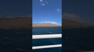 #cruise #adventure #funtimes #vacation #travel #travelphotography #vlog #blog #cruiseadventure