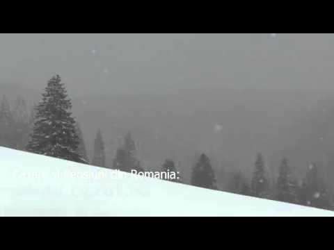 Cazare Putu Olarului, Vaslui - Cazat.ro