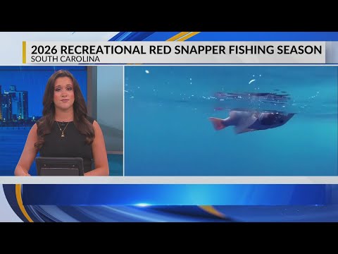 Federal regulators set dates for red snapper data collection ...