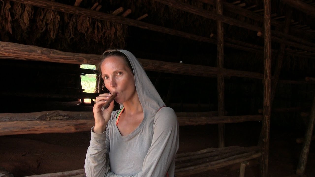 Traveling Cuba: The Valley Of Tobacco - UNTIE THE LINES II #50