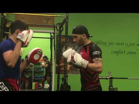 Eoghan Chelmiah Training 2020 (Sparring & Padwork)