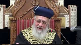הראשון לציון הרב יצחק יוסף שליט"א - פרשת קדושים - ספירת העומר