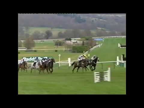 2009 Martin Pipe Conditional Jockeys' Hurdle - Cheltenham Festival