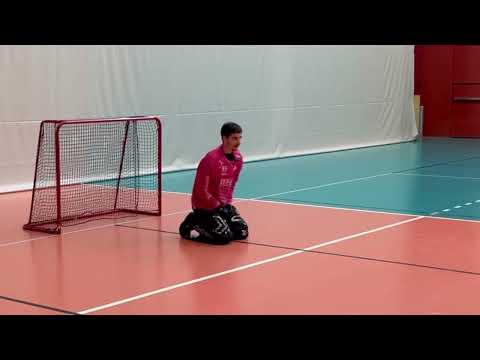 Floorball Goalie Coaching 1.0 (German): Grundposition und Grundtechnik