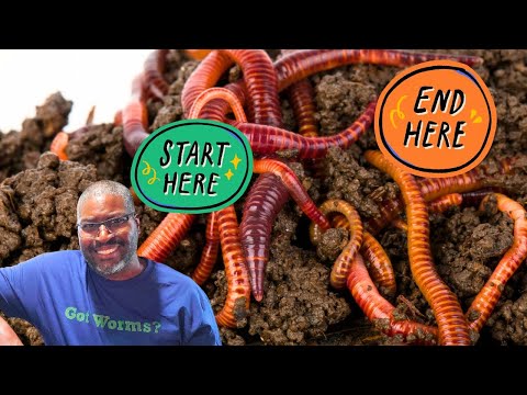 Here Is How To Get Worms To MIGRATE In A Worm Bin