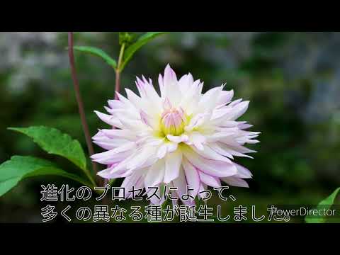 すべての生命の起源: 研究者は私たちの起源について驚くべき洞察を発見