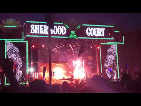 Mersiv - Heat Waves Remix - Electric Forest 2022