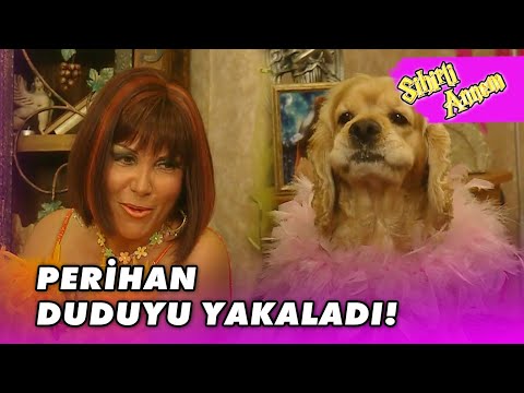 Perihan, Taci'yi Savundu! - Sihirli Annem 107.Bölüm