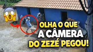 IMAGENS CAPTADAS PELA CÂMERA NO SÍTIO DO ZEZÉ 