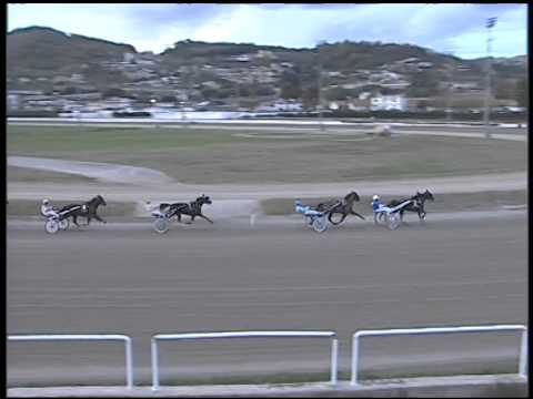 Trotto 16/11/2014 - 5° corsa