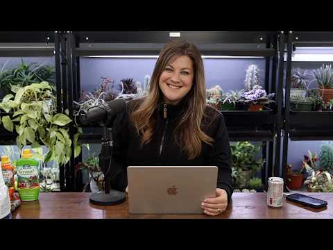 Update on the Fire in the Attic // Favorite Lavender? // Recap 🌿