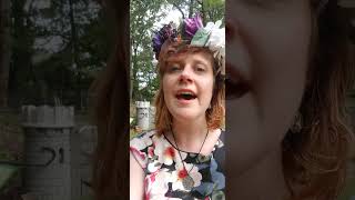 Lifesize by A Fine Frenzy from One Cell in the Sea