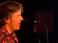 Robyn Hitchcock - Glass Hotel