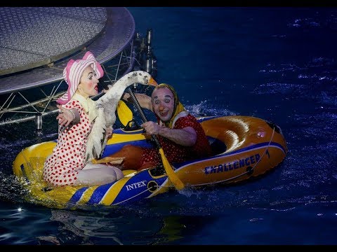 Премьера- «Цирк на воде»! видео Сергей Томко