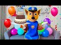 Chase's Birthday with Paw Patrol In Real Life -  Paw Patrol Funny Action In Real Life