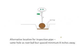 Planting Instructions for Balled and Burlap
