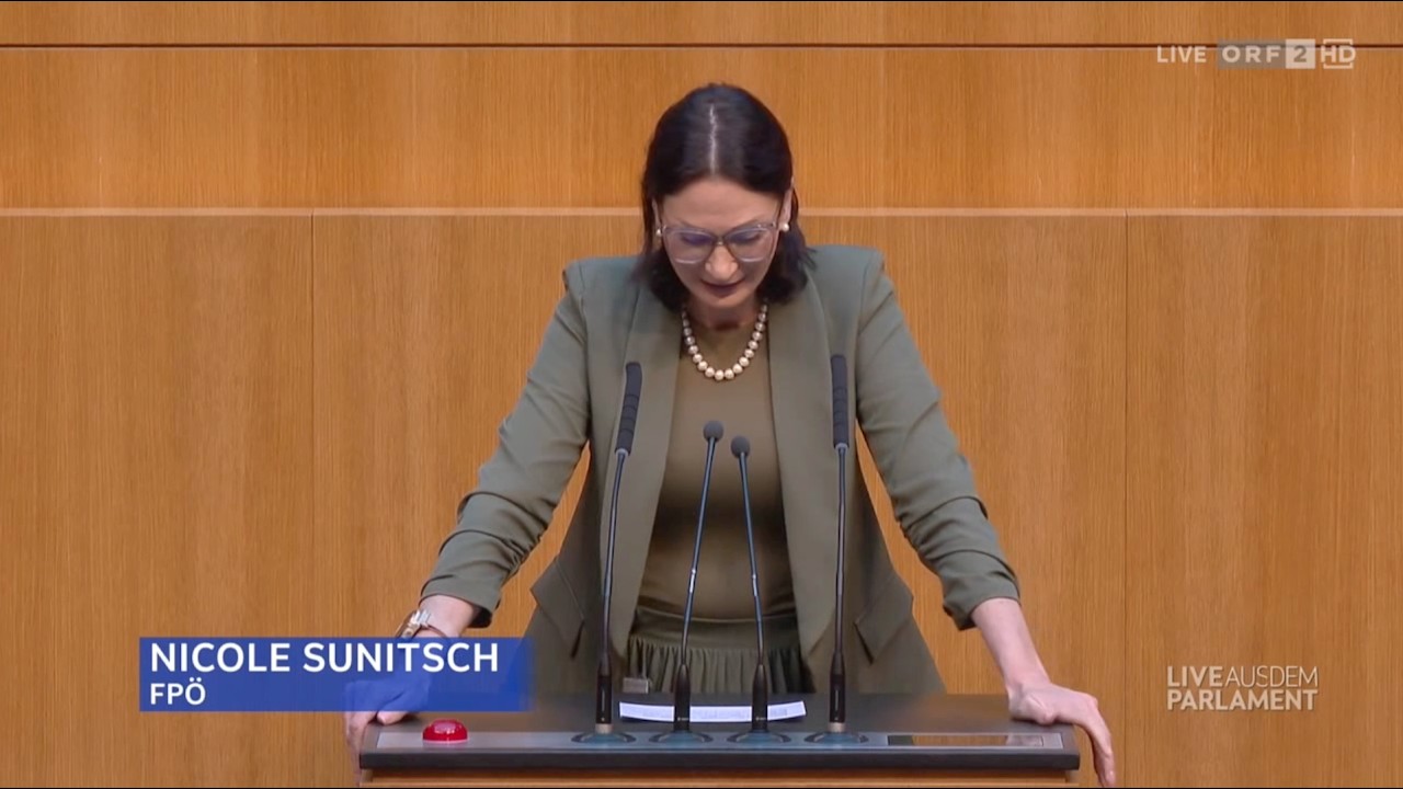 Nicole Sunitsch - Strafrechtsänderungsgesetz 2026 - 14.10.2026