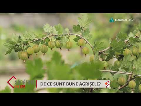 Sănătate cu stil- De ce sunt bune agrișele