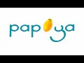 Papaya Studio 2006 2011 Later Variant Logo Remake