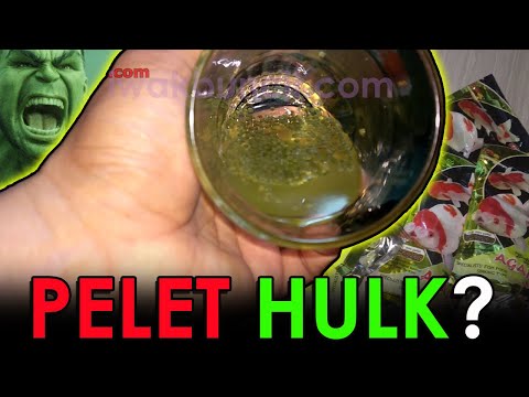 download lagu mp3 mp4 Agaru, download mp3 Agaru free download, download mp3 Agaru