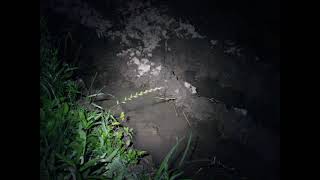 絶望米作り【１１】深夜２時に入水作業。新規就農の注意と、僕のグチ、、、