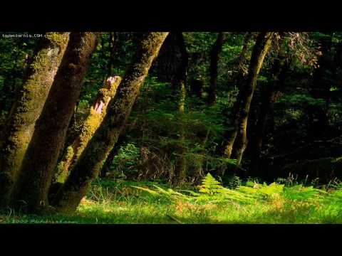 DJ Tiesto vs Marcus Schossow - Louder Than Kaboom (Puerce Mai Mashup)