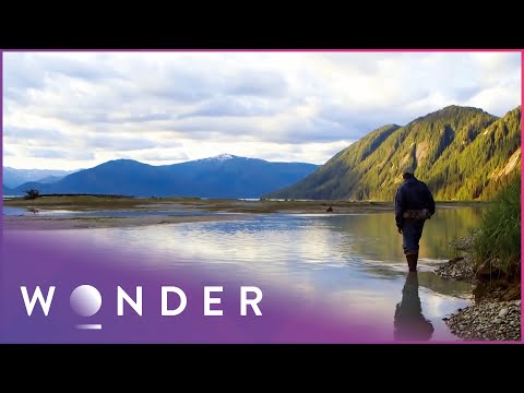 Stranded For Days Alone In The Alaskan Wilderness | Fight to Survive S2 E6 | Wonder