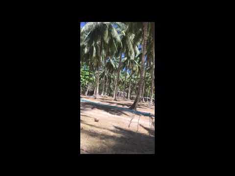 The Philippines, Puerto Princessa!🌎 Beach day!!😎🙂😀