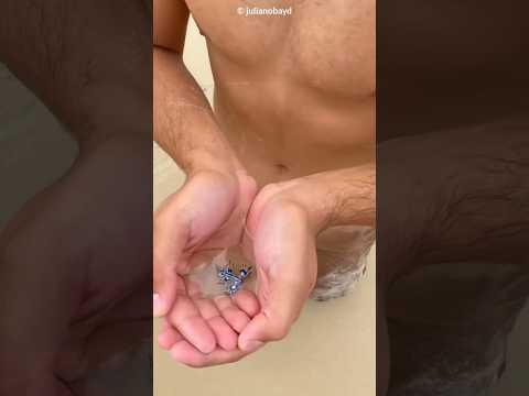 He Touched a Poisonous Sea Creature 🥺🌊🐉