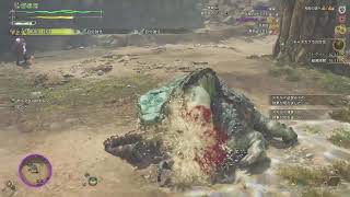 【モンハンワイルズ】ちょっと武器探しの練習