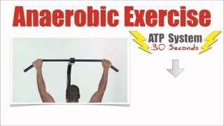Anaerobic Exercise ATP System