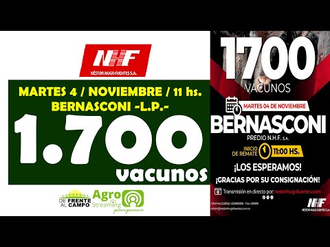 en VIVO - 11 hs. - REMATE de NÉSTOR HUGO FUENTES S.A. - MARTES 4 / NOV.  / 2025 - BERNASCONI -L.P.-