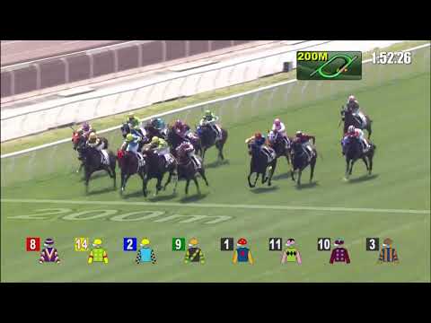 27/2/2022 (453) Fortune Patro - R Maia