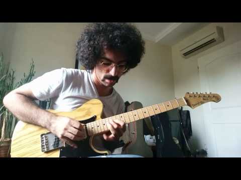 guthrie govan,steve morse