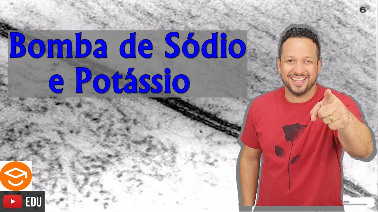 Bomba de Sódio (Na) e Potássio (K) - Transporte ativo - Membrana Plasmática