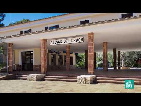 Cuevas Drach