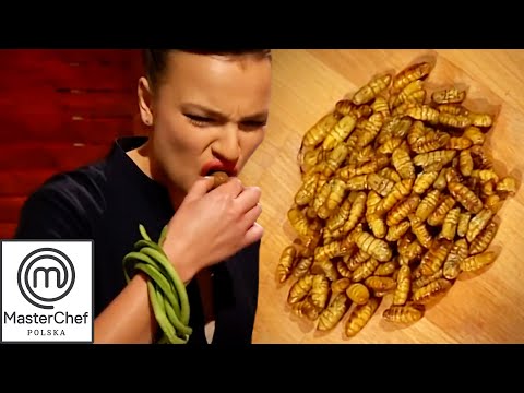 Co Znajduje Się w Tajemniczym Pudełku? | Sezon 3 Odcinek 5 | MasterChef Polska