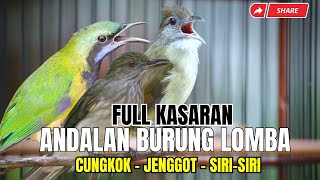 Download lagu MASTERAN TEMBAKAN MEMATIKAN || BESETAN - CUNGKOK GEREJA TARUNG - TEPUS  || KUNTI MENJERIT PANJANG mp3