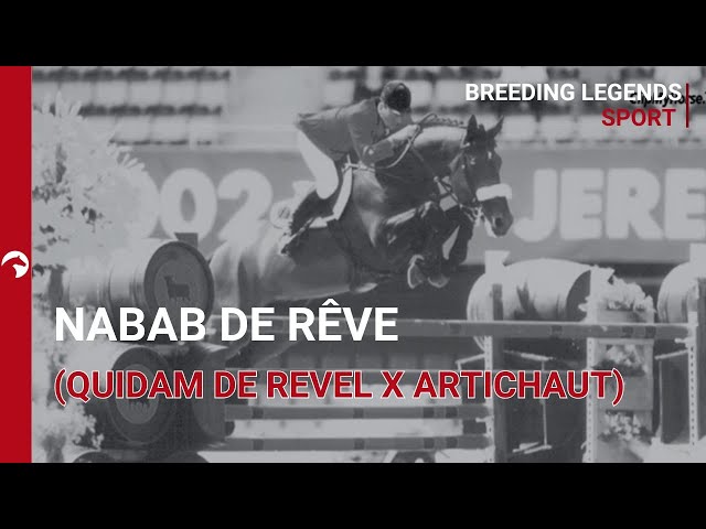 Nabab de Reve