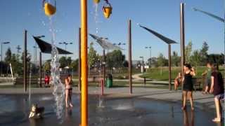 Dog in the Water Park Dog in the Water Park