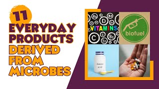 11 EVERYDAY PRODUCTS that are DERIVED from MICROBES | SCIENCE SAMHITA
