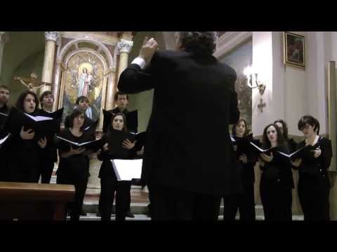 Coro Decanter - The Shower - Edward Elgar