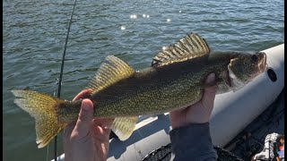 Bouncing for Walleye - New (Old) Personal Best!