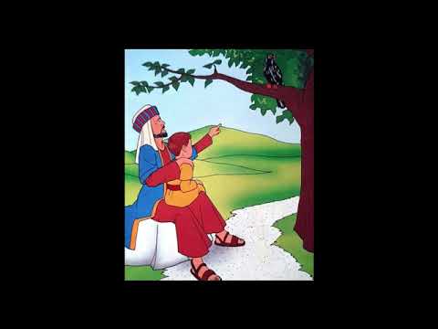 K1 - Bible story - T2 - W2 - D 2-3 - Remembering God's Message