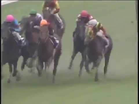 カルストンライトオ（Karusutonraitoo）　スプリンターズステークス（Sprinters S） 2004年　競馬G1