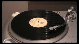 Welcome To The Monkey House   Animal Magnet