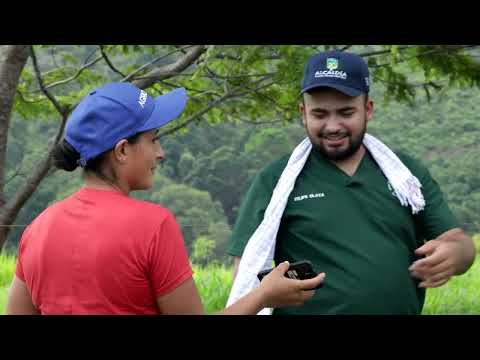 MEJORAMIENTO GENÉTICO INTEGRAL- Alcaldía Santa Rosa del Sur - Bolívar - AGROSAVIA