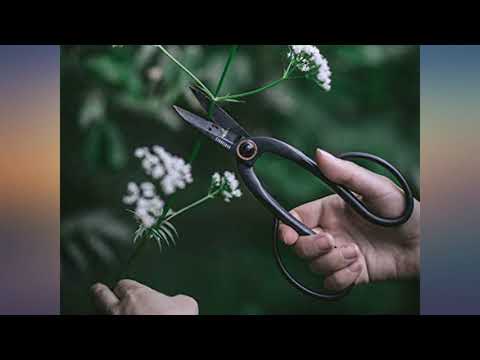Barebones | Artisan Pruning Shears - Antique Finish, Ambidextrous Grip & Rounded review