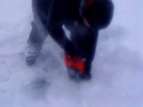 Fälla is med motorsåg. Roger Kalliomäki & Petri Kalliomäki