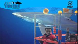 DIA 3 Expo Tiburon49